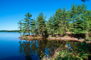 Ottawa Valley Real Estate, Waterfront Property, Ottawa Region, Wilderness Tours, River Run, Ottawa, Dream Home, Paddlers Dream, Voyageur Bay, Fishing, kayaking, rafting, boating, SUPing and splashing - this area is a lifestyle paradise.